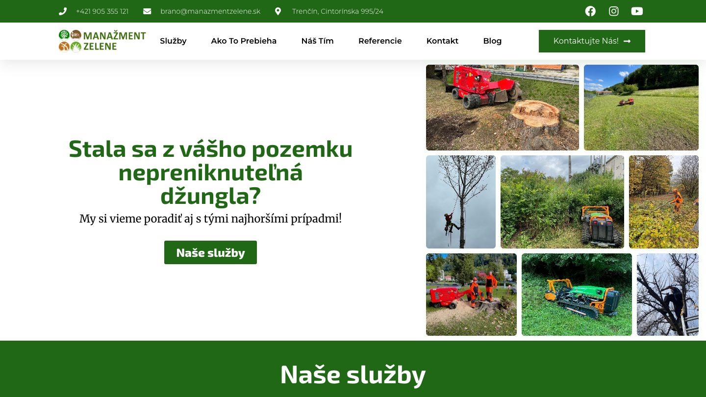 Náhľad webu manazmentzelene.sk